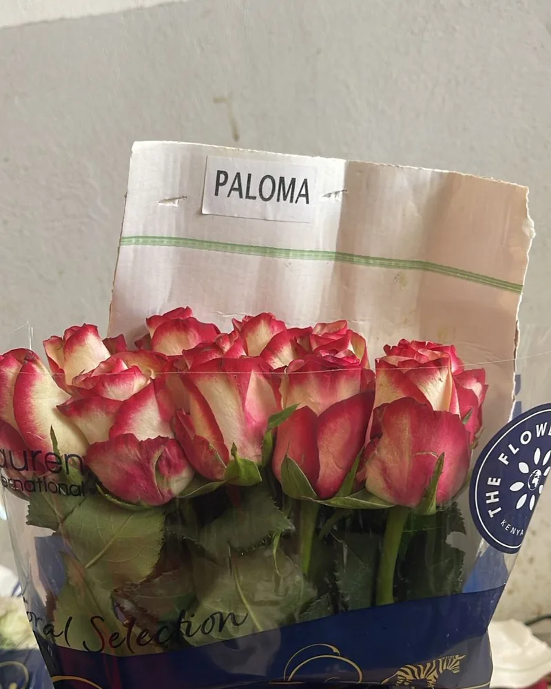 Sélection de fleurs fraîches chez le producteur