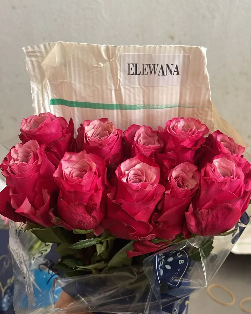 Préparation et conditionnement des fleurs pour la livraison