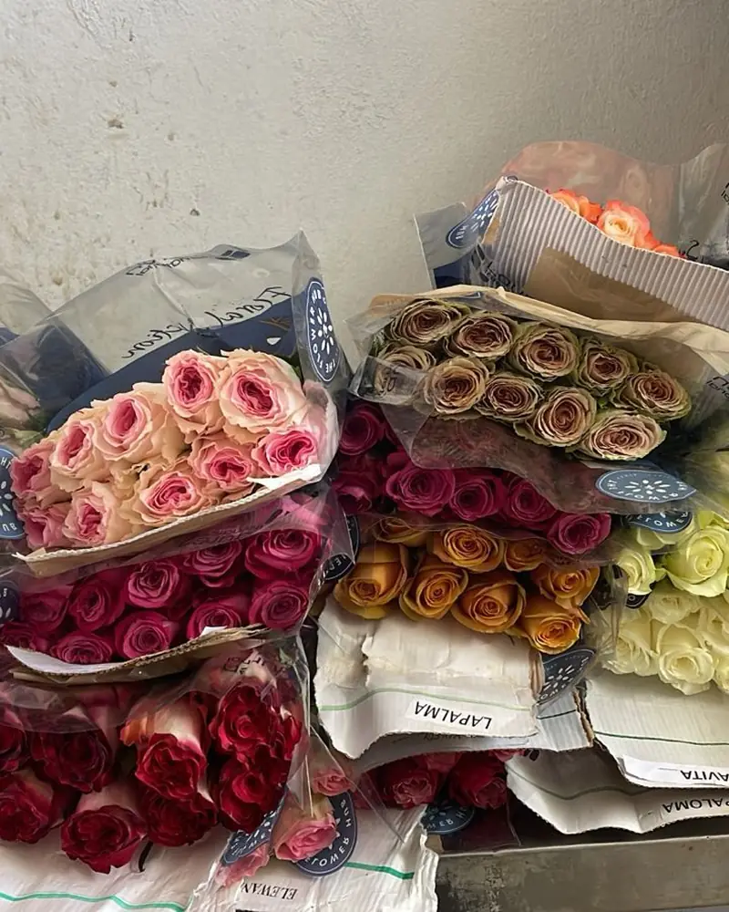 Livraison de fleurs en gros aux professionnels